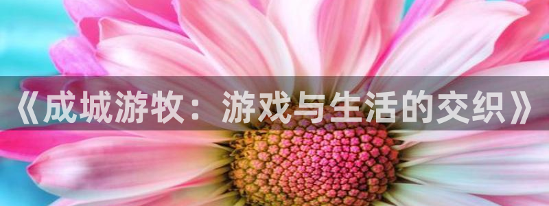 摩根娱乐是正规合法的吗：《成城游牧：游戏与生活的交织》