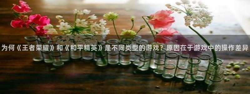 摩根娱乐挂机项目怎么样：为何《王者荣耀》和《和平精英》是不同