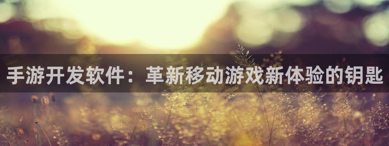 摩根娱乐云挂机教程：手游开发软件：革新移动游戏新体验的钥匙