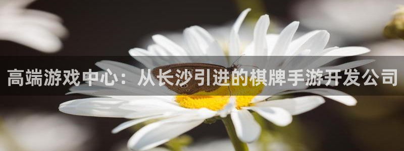 摩根娱乐是个什么平台啊：高端游戏中心：从长沙引进的棋牌手游开