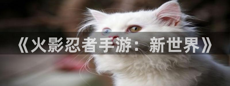摩根娱乐娱乐官网入口下载