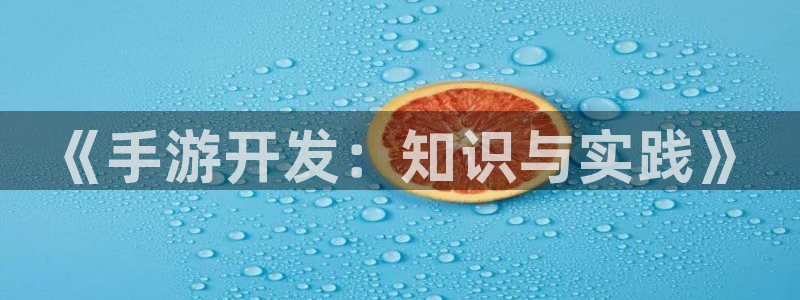 摩根娱乐官网入口网站下载：《手游开发：知识与实践》