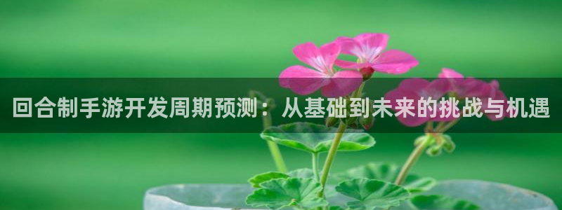 摩根娱乐：回合制手游开发周期预测：从基础到未来的挑战与机遇