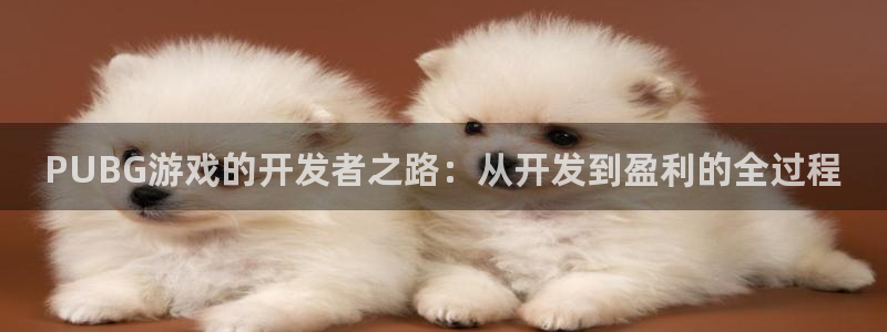 摩根娱乐官网入口网址