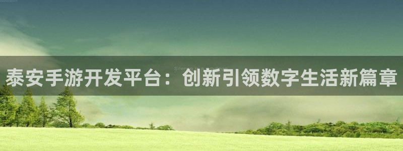 摩根娱乐官网入口网址大全：泰安手游开发平台：创新引领数字生活