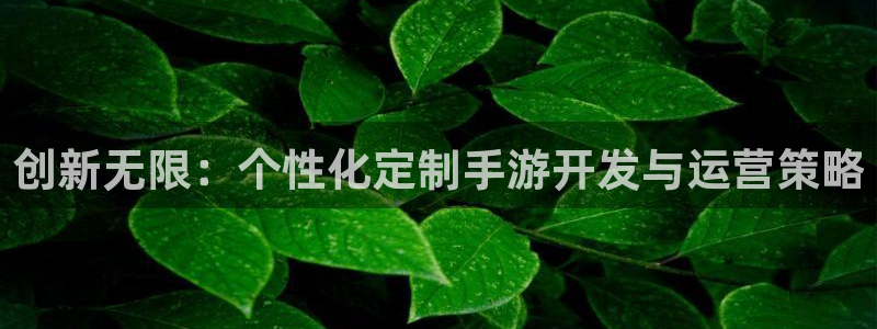 摩根娱乐app下载安装苹果：创新无限：个性化定制手游开发与运
