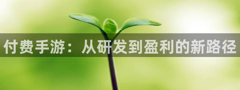 摩根娱乐会所：付费手游：从研发到盈利的新路径