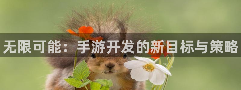 摩根娱乐官网入口网站：无限可能：手游开发的新目标与策略