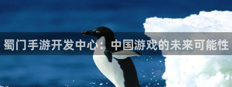 摩根娱乐app下载安装手机版：蜀门手游开发中心：中国游戏的未