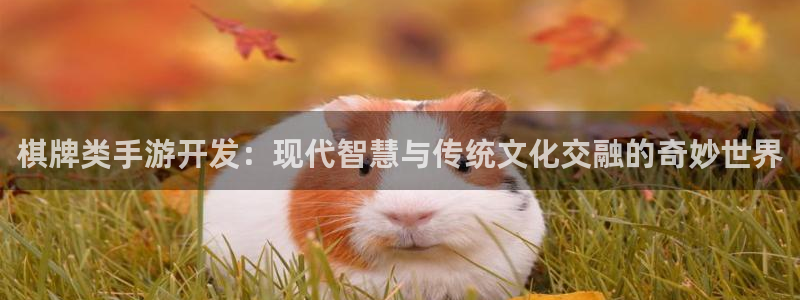 摩根娱乐官网入口网址大全