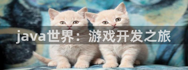 摩根娱乐网址是多少：java世界：游戏开发之旅