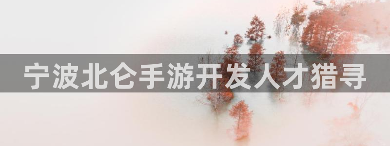 摩根娱乐娱乐官网入口网址：宁波北仑手游开发人才猎寻