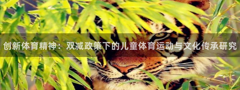 k1体育链接
