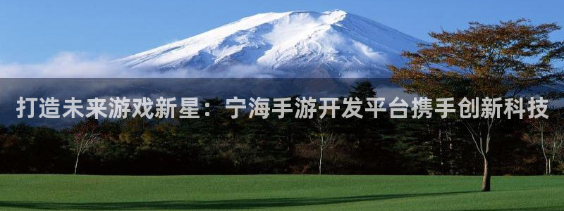 摩根娱乐能赚钱是真的吗：打造未来游戏新星：宁海手游开发平台携