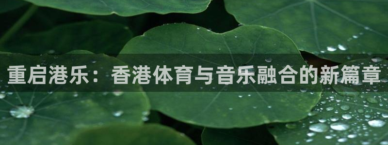 k1体育十年平台